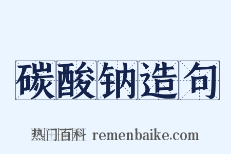 碳酸钠造句是什么意思的图片